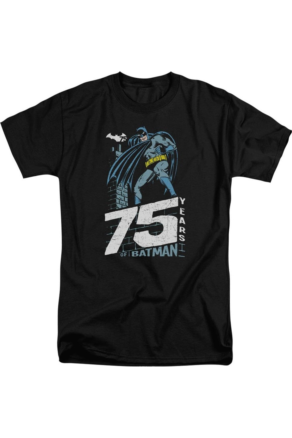 Футболка Batman Rooftop с коротким рукавом для взрослых Gildan, черный
Футболка Batman Rooftop с коротким рукавом для взрослых Gildan, черный
