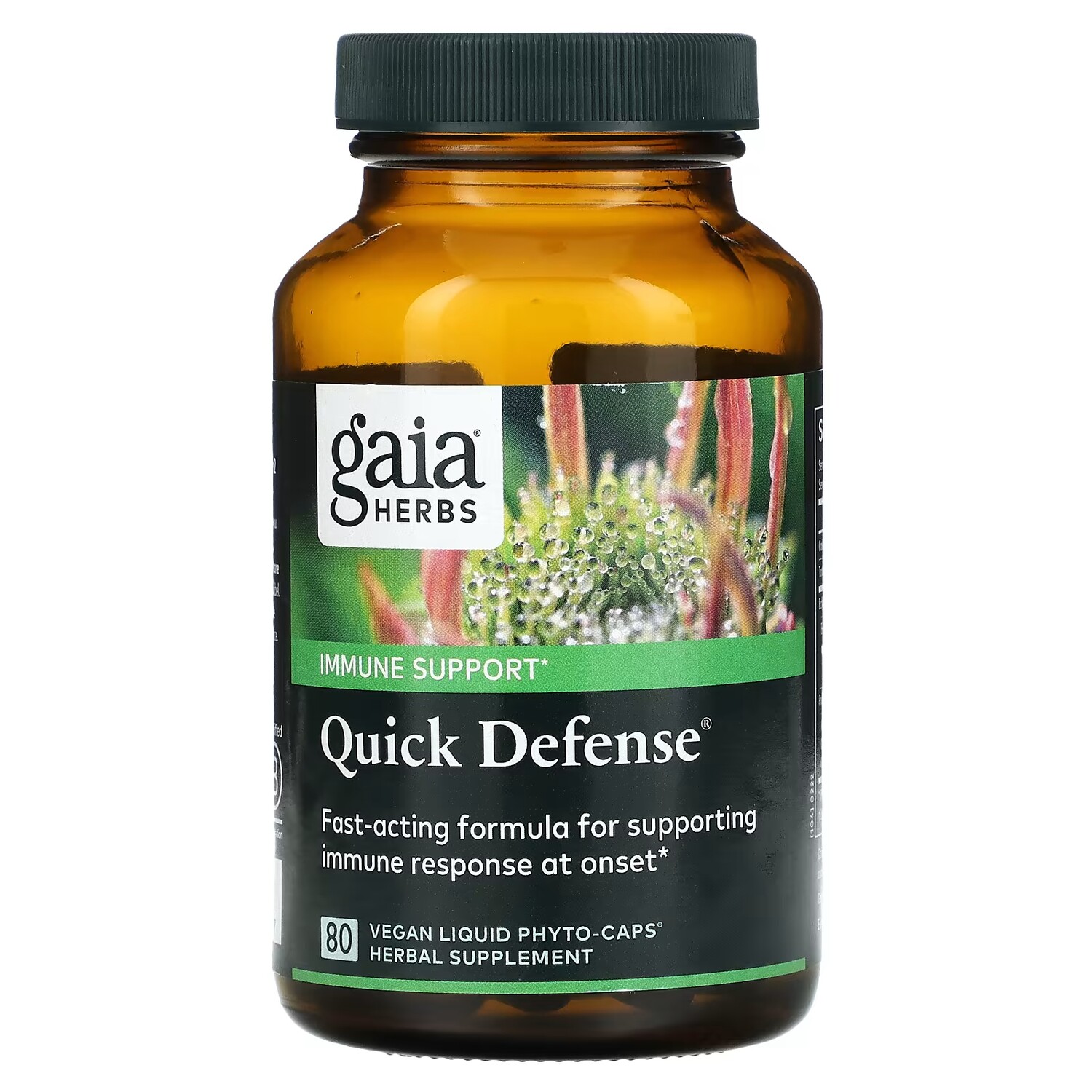Добавка Gaia Herbs Quick Defense, 80 веганских жидких фито-капсул
Добавка Gaia Herbs Quick Defense, 80 веганских жидких фито-капсул