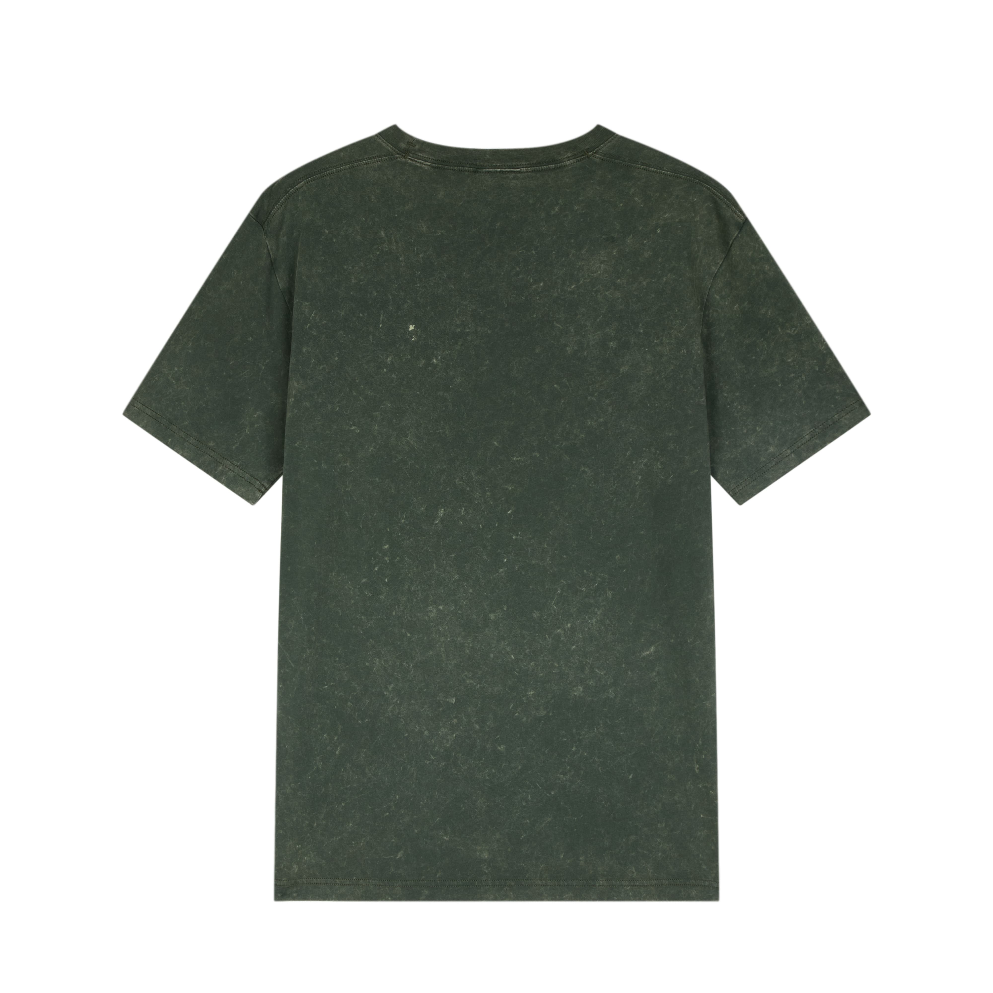 Футболка SS25 Europe Version Unisex Champion, зеленый
Футболка SS25 Europe Version Unisex Champion, зеленый