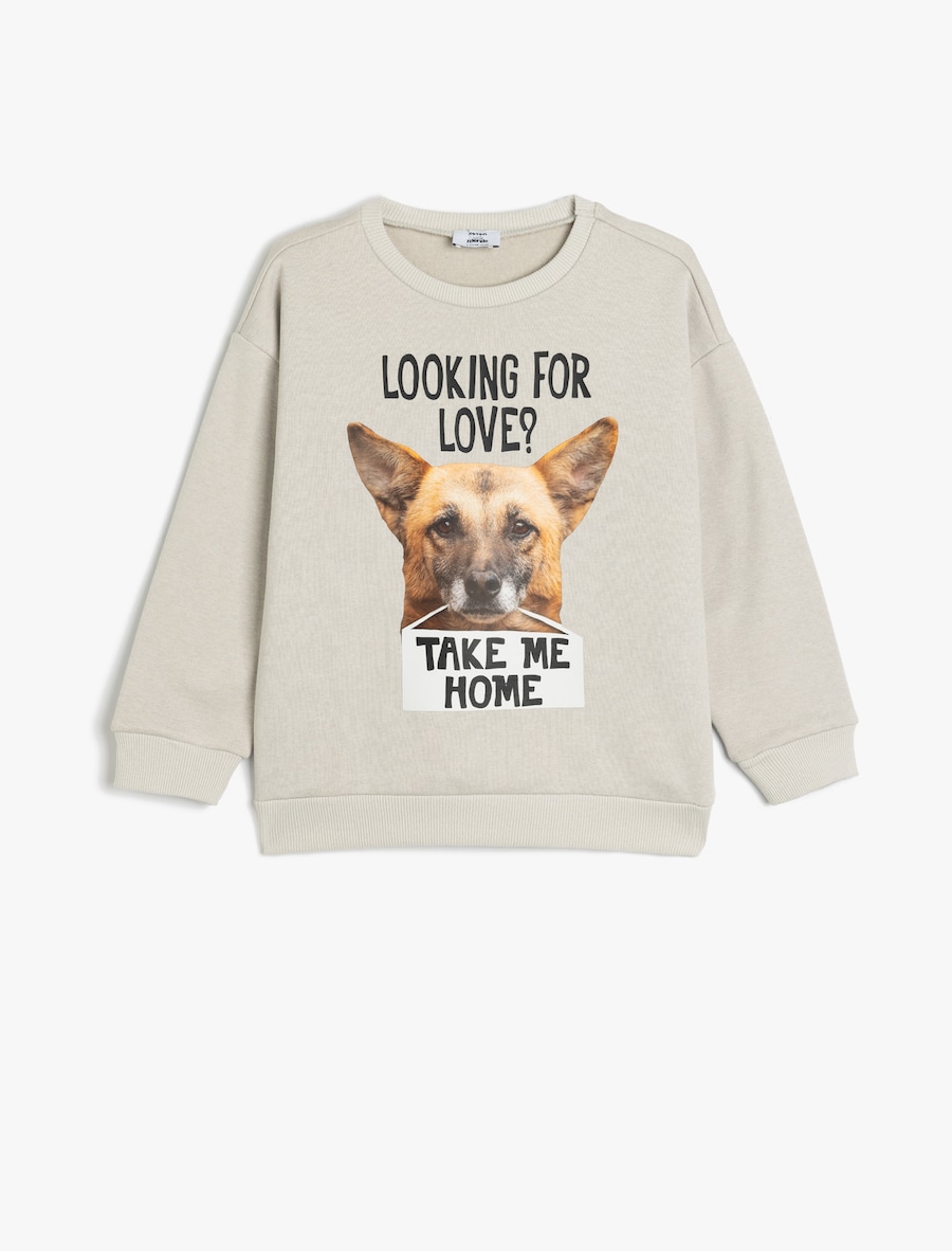 Толстовка Koton, серый
Толстовка Koton, серый