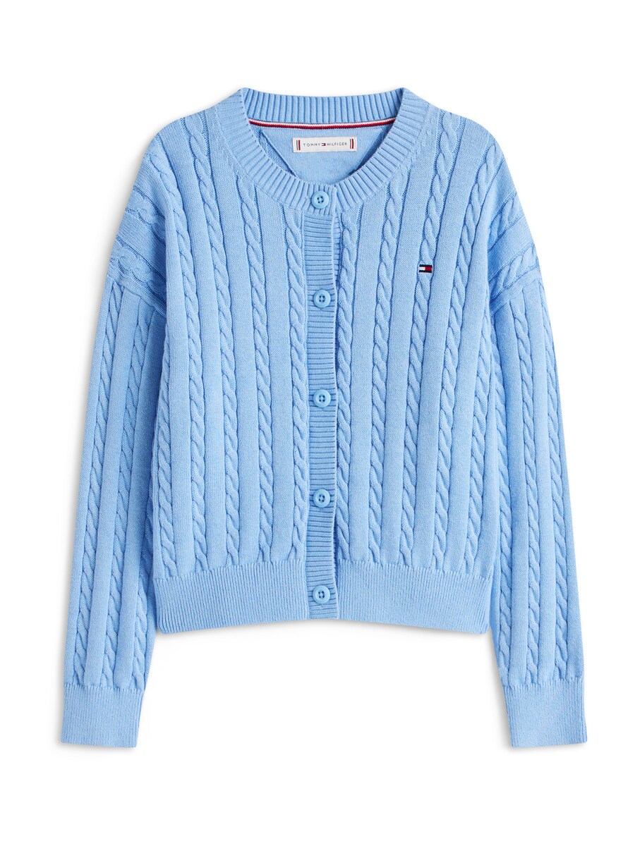 Вязаный кардиган TOMMY HILFIGER, Sky blue
Вязаный кардиган TOMMY HILFIGER, Sky blue
