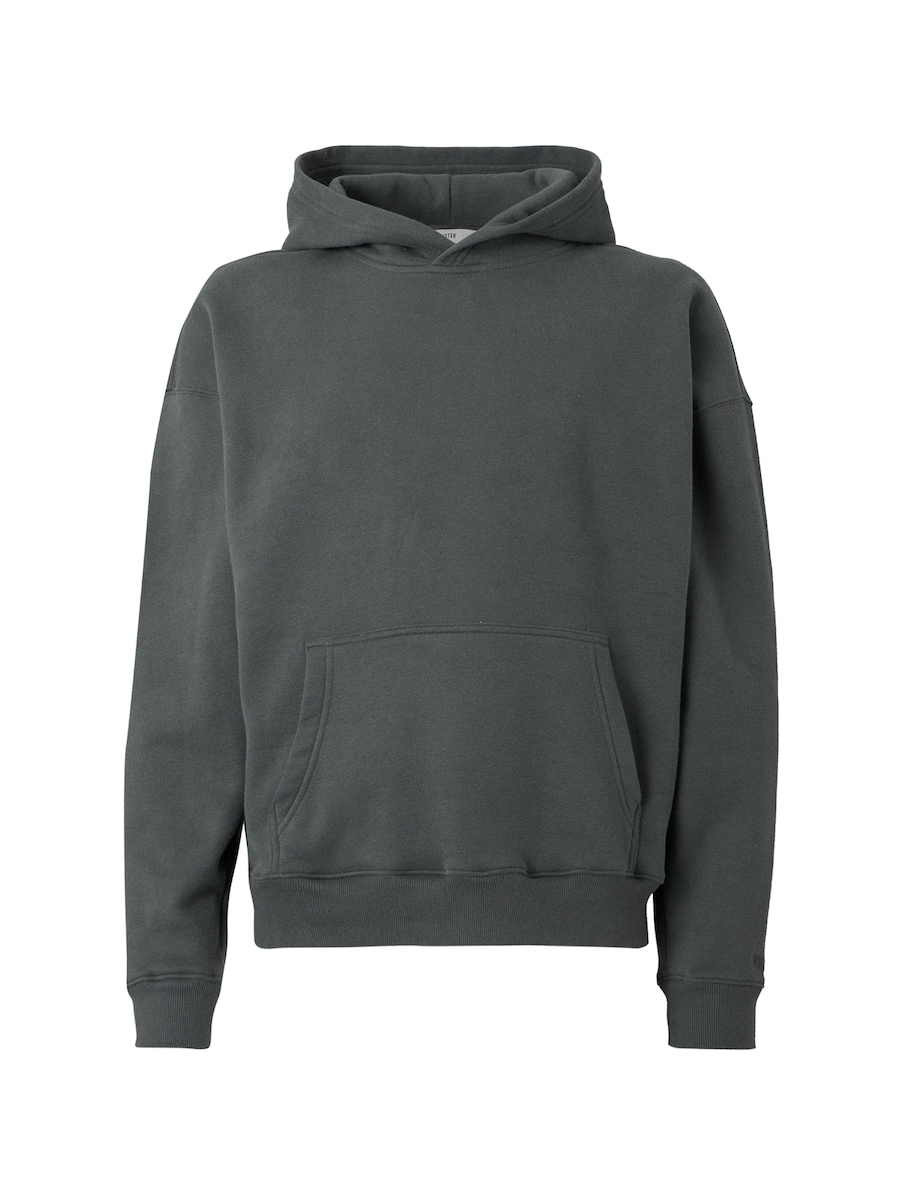 Толстовка HOLLISTER, графитовый
Толстовка HOLLISTER, графитовый