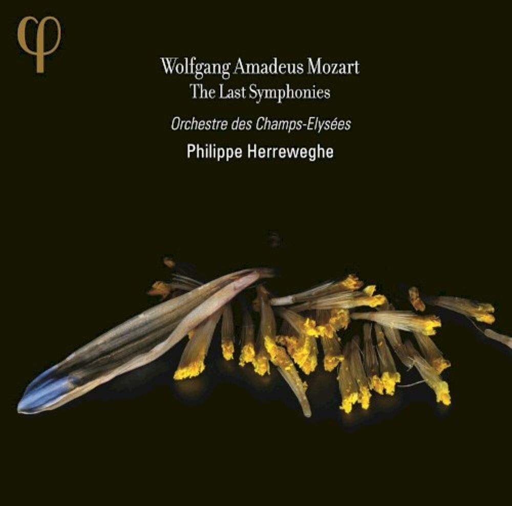 Диск CD Last Symphonies
Диск CD Last Symphonies