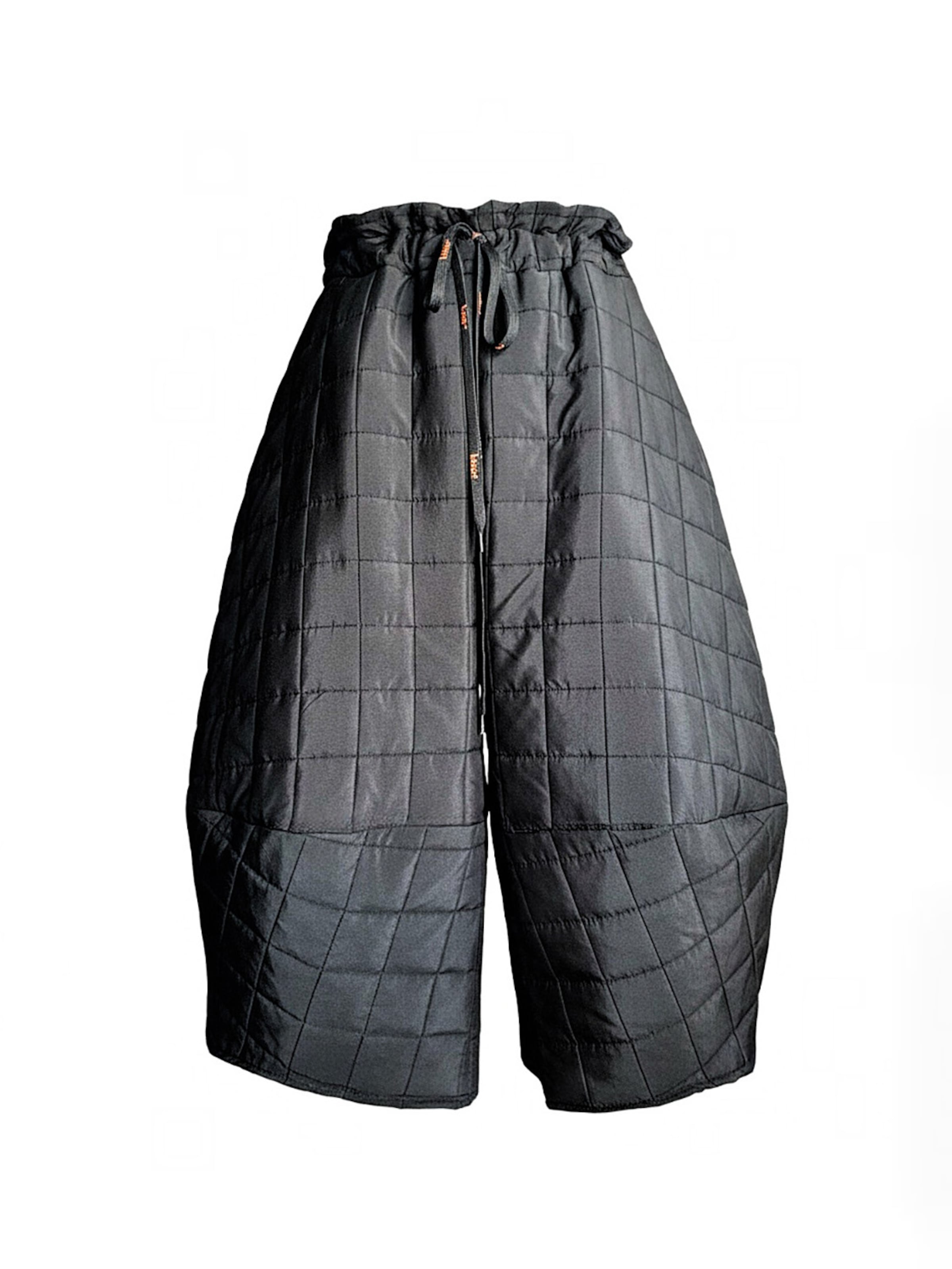 IUnique Широкие брюки 'Ballonique' в черном цвете
IUnique Широкие брюки 'Ballonique' в черном цвете