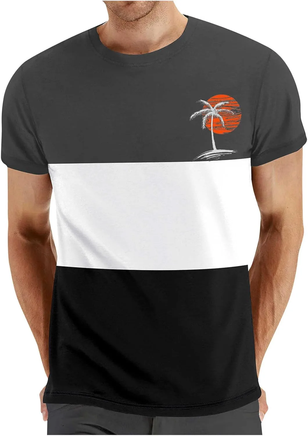 Мужская футболка с принтом Coconut Palm, цветной блок, короткий рукав, Regular Fit
Мужская футболка с принтом Coconut Palm, цветной блок, короткий рукав, Regular Fit