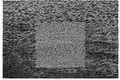 CD диск Grouper: Grid Of Points
CD диск Grouper: Grid Of Points