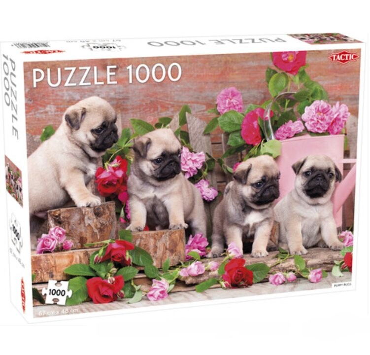 Тактика, пазл, Puppy Pugs, 1000 шт. Tactic
Тактика, пазл, Puppy Pugs, 1000 шт. Tactic