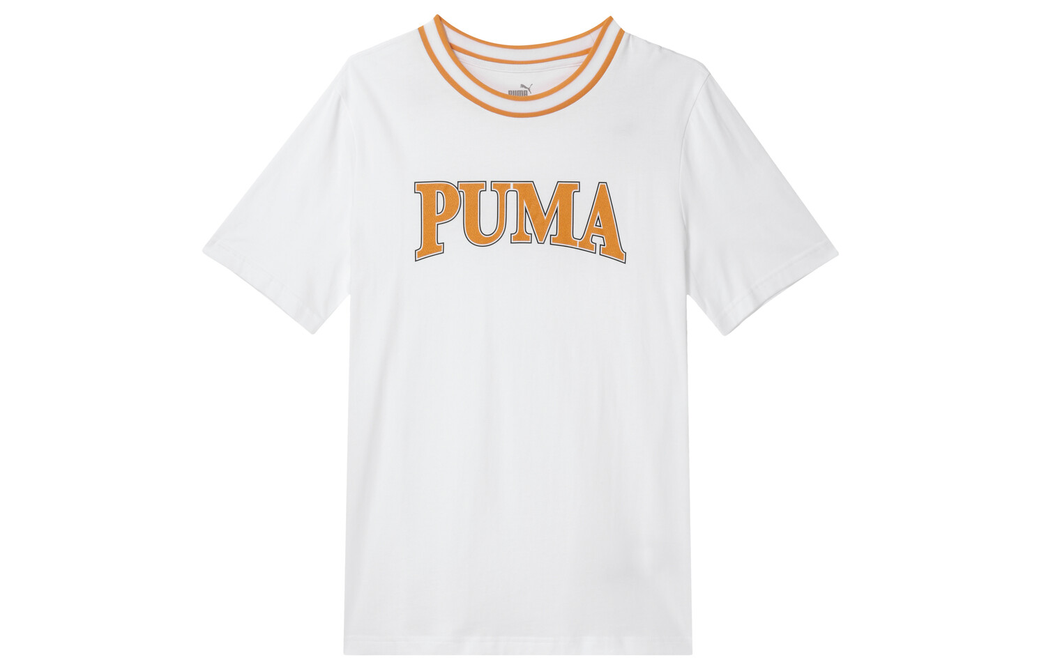 Футболка мужская белая Puma, белый
Футболка мужская белая Puma, белый