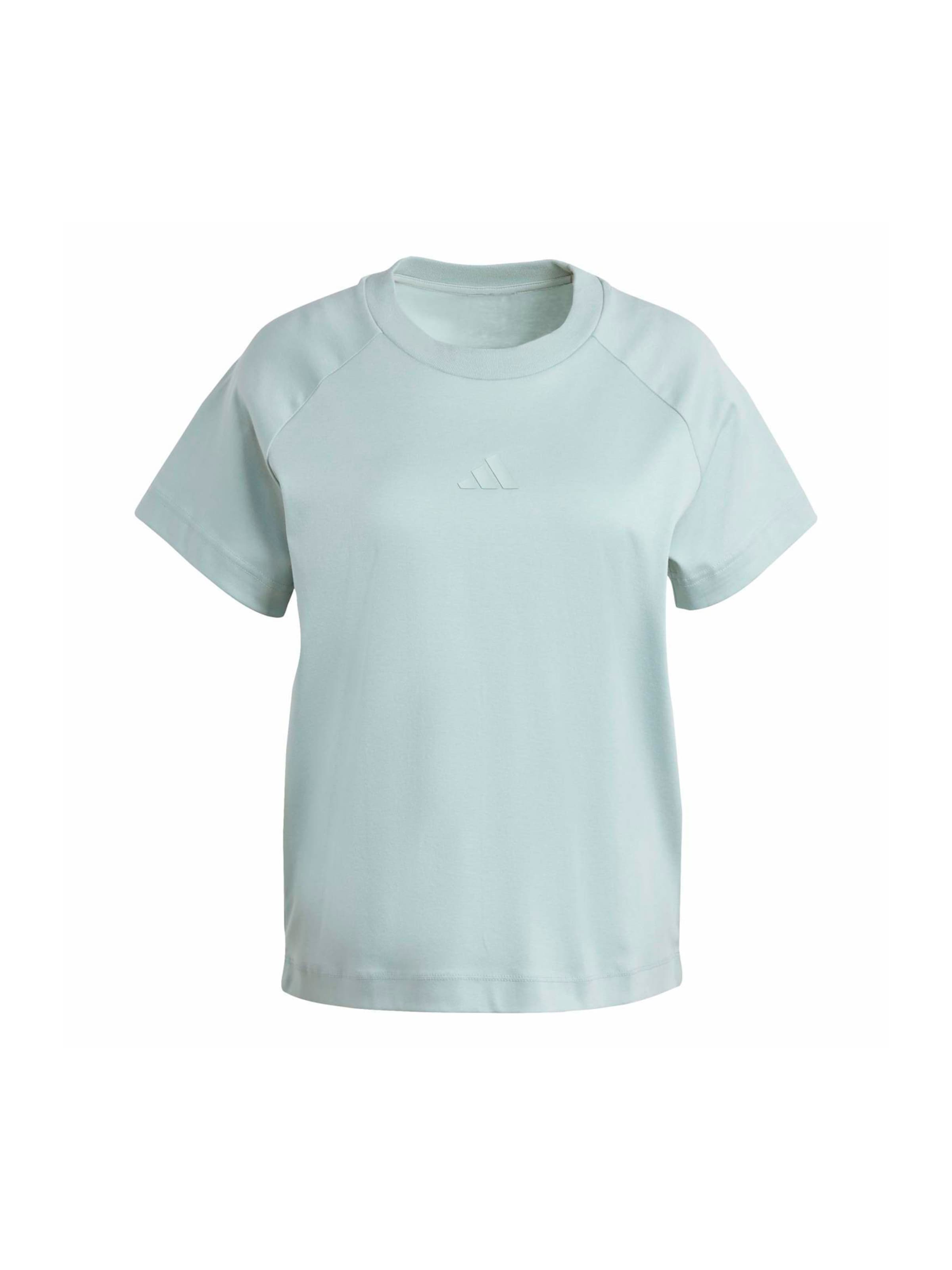 Adidas Sportswear Футболка Performance в пастельно-зеленом цвете
Adidas Sportswear Футболка Performance в пастельно-зеленом цвете