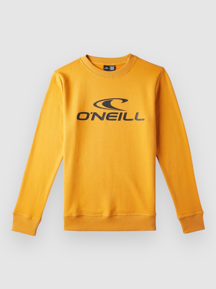 Свитер O'Neill Crew Kids Sweater, nugget
Свитер O'Neill Crew Kids Sweater, nugget