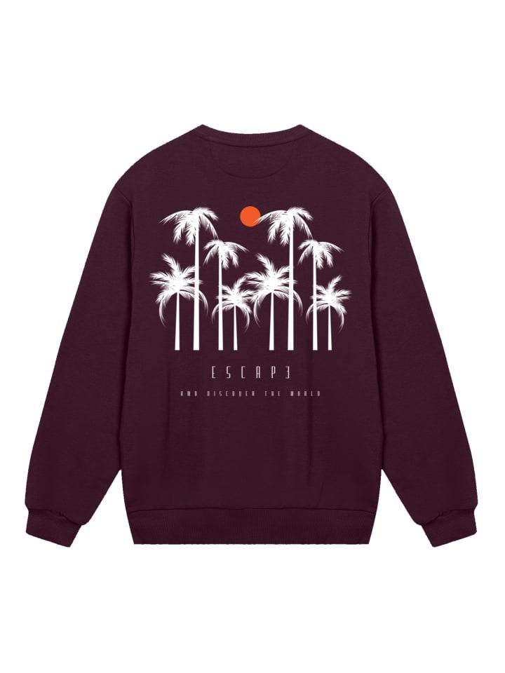 Толстовка F4NT4STIC, бордовый
Толстовка F4NT4STIC, бордовый