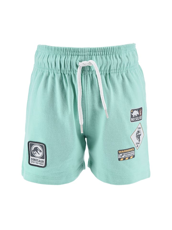 Шорты Jurassic World, мятный 
Шорты Jurassic World, мятный