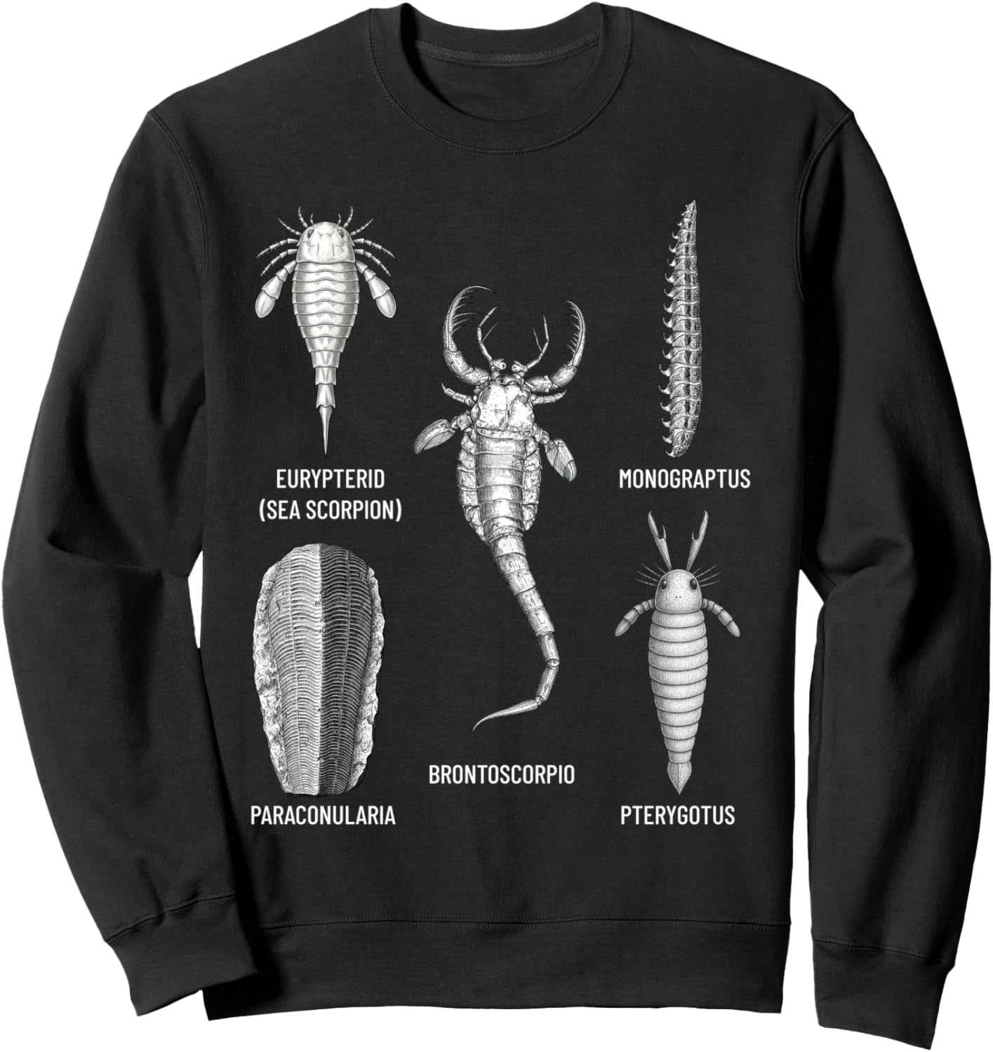 Толстовка с изображением силурийских окаменелостей - коллекция древней морской жизни Educational Science Ideas, черный
Толстовка с изображением силурийских окаменелостей - коллекция древней морской жизни Educational Science Ideas, черный
