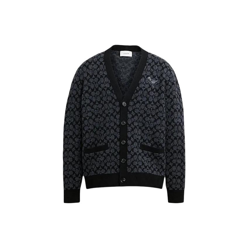 COACH Вязаный свитер SS24 мужской черный
COACH Вязаный свитер SS24 мужской черный