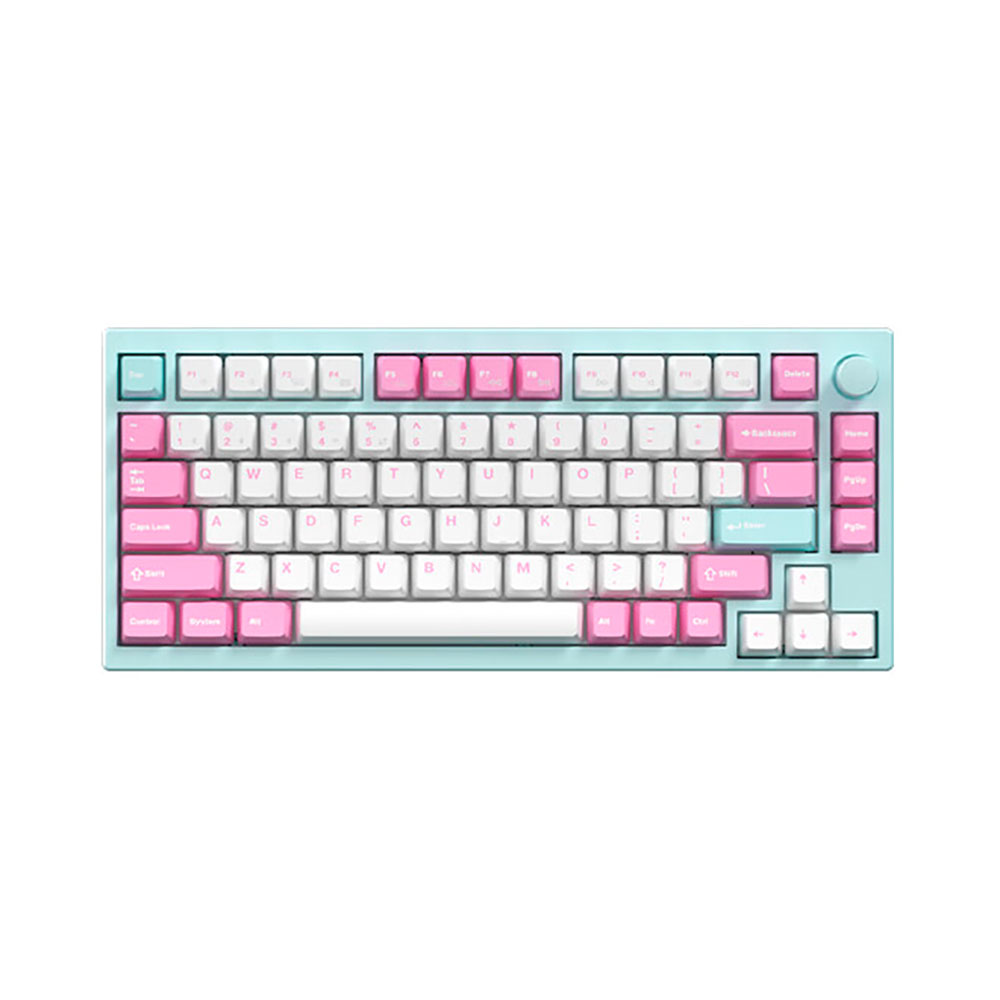 Игровая беспроводная клавиатура SKN Bluebird 75, голубой, английская раскладка
Игровая беспроводная клавиатура SKN Bluebird 75, голубой, английская раскладка