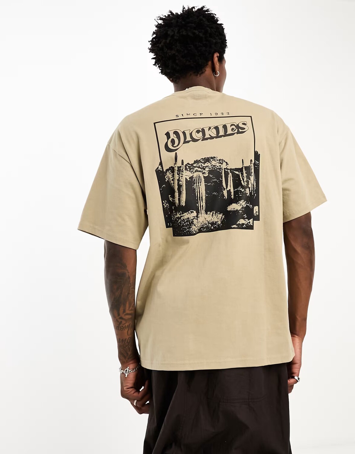 Футболка цвета хаки с пейзажным принтом на спине Dickies Rose Lodge
Футболка цвета хаки с пейзажным принтом на спине Dickies Rose Lodge