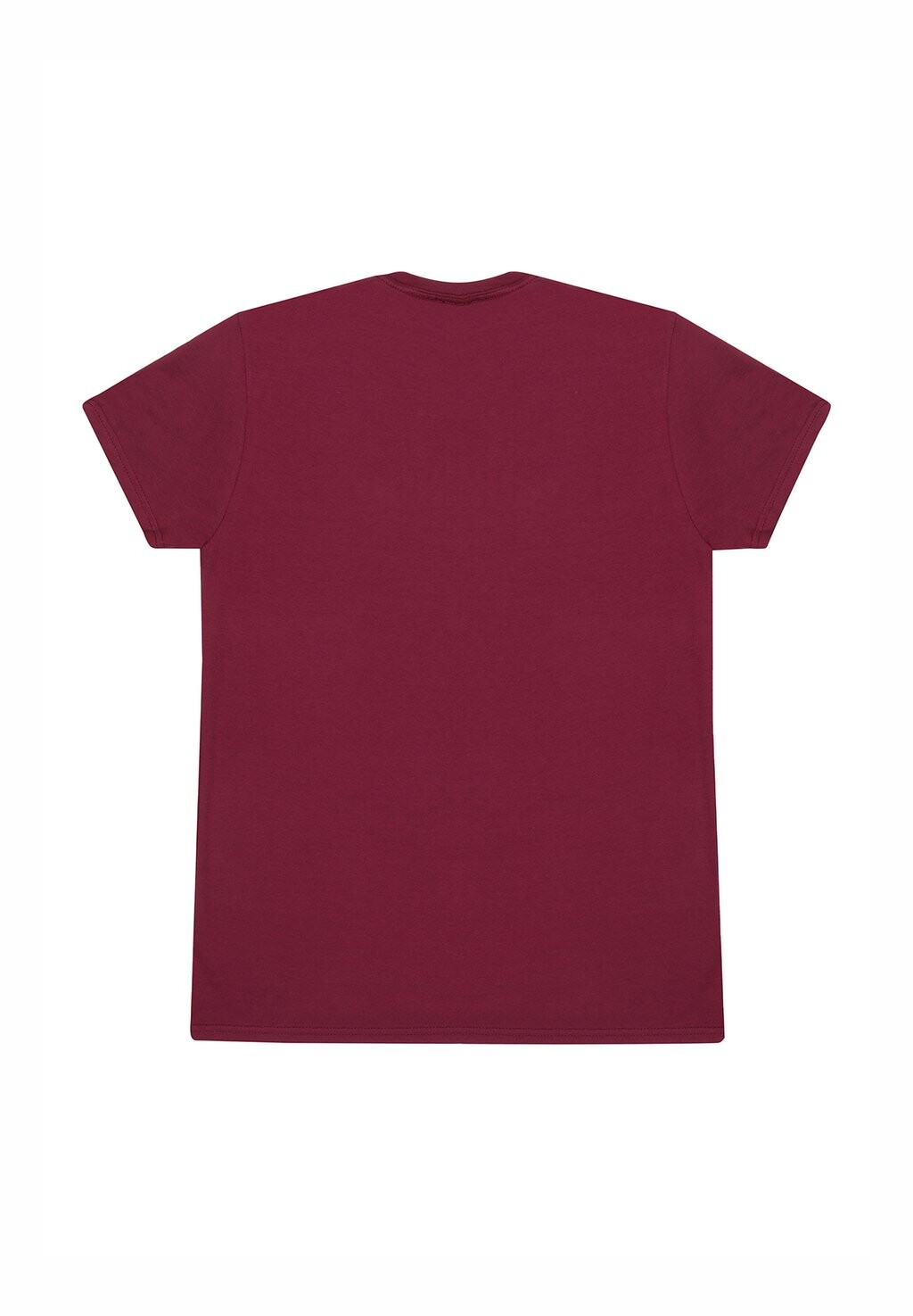 Футболка с принтом HARRY POTTER GRYFFINDOR CREST Harry Potter, Бордо
Футболка с принтом HARRY POTTER GRYFFINDOR CREST Harry Potter, Бордо