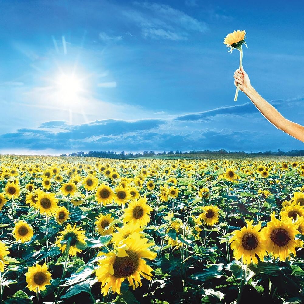 Виниловая пластинка LP Thank You - Stone Temple Pilots
Виниловая пластинка LP Thank You - Stone Temple Pilots