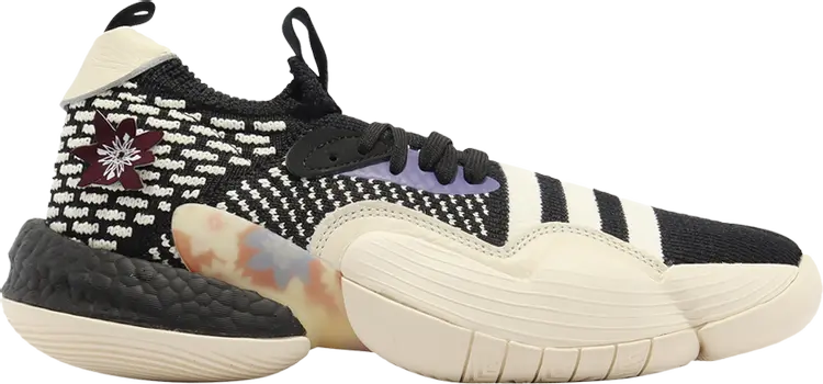 Кроссовки Adidas Trae Young 2, черный
Кроссовки Adidas Trae Young 2, черный