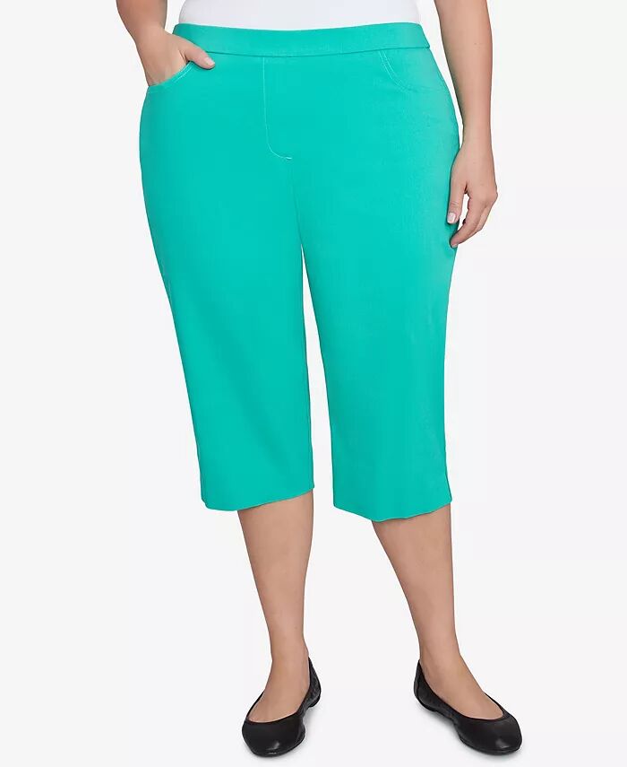 Классические брюки-клеш Allure Clamdigger размера плюс с плоским передом Alfred Dunner, зеленый
Классические брюки-клеш Allure Clamdigger размера плюс с плоским передом Alfred Dunner, зеленый