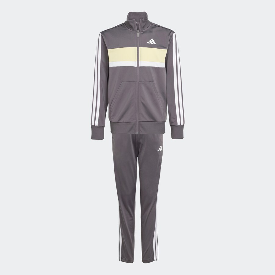 Спортивный костюм ADIDAS SPORTSWEAR Seasonal Essentials Tiberio, золотой
Спортивный костюм ADIDAS SPORTSWEAR Seasonal Essentials Tiberio, золотой