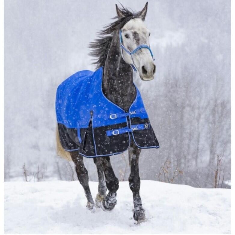 Попона Equithème 1200D Tyrex Aisance Highneck Combo 300г наполнитель зимняя, синий / черный
Попона Equithème 1200D Tyrex Aisance Highneck Combo 300г наполнитель зимняя, синий / черный