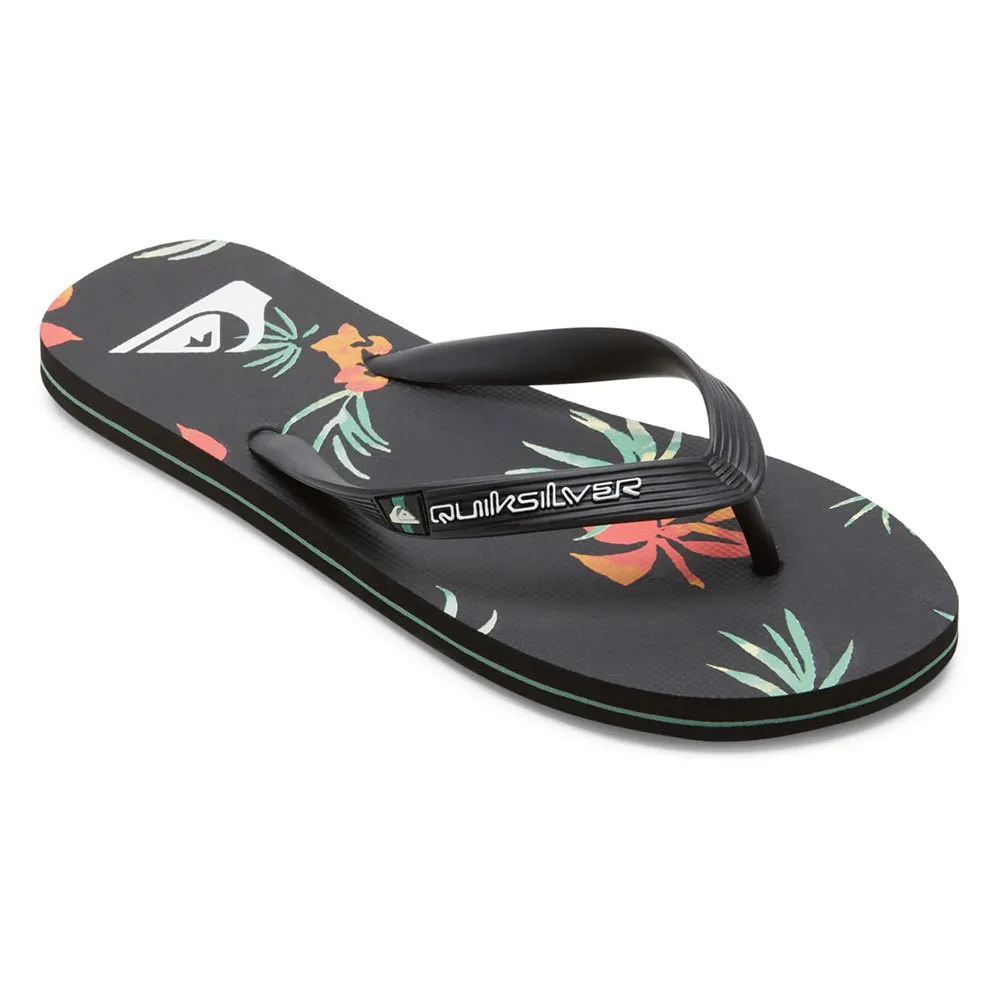 Шлепанцы Quiksilver Molokai Art II, черный
Шлепанцы Quiksilver Molokai Art II, черный