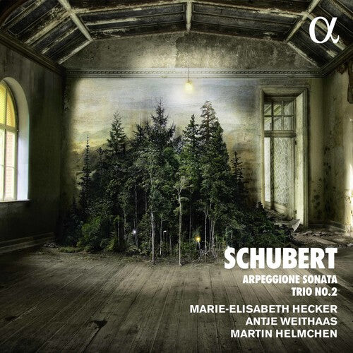 CD диск Schubert / Helmchen / Weithaas: Piano Trio in E Flat & Arpeggione Sonata a Minor
CD диск Schubert / Helmchen / Weithaas: Piano Trio in E Flat & Arpeggione Sonata a Minor