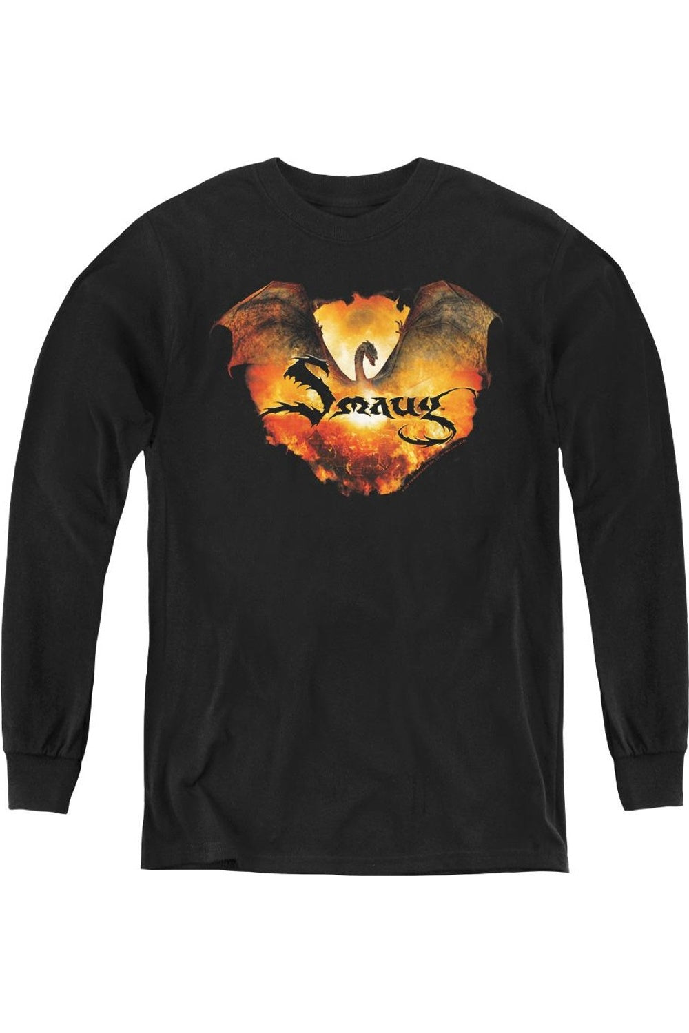 Футболка с длинным рукавом Hobbit Reign In Flame Youth Gildan, черный
Футболка с длинным рукавом Hobbit Reign In Flame Youth Gildan, черный