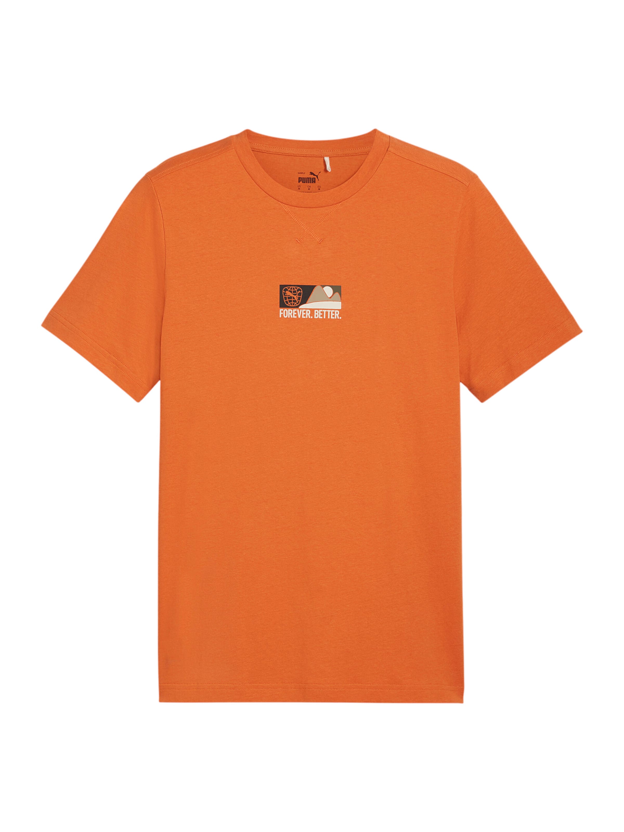 PUMA Футболка Performance в темно-оранжевом цвете
PUMA Футболка Performance в темно-оранжевом цвете