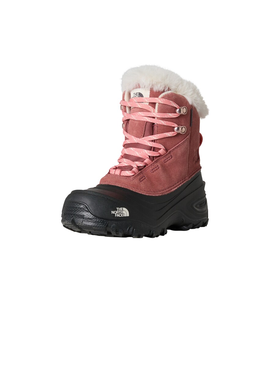 Ботинки THE NORTH FACE Youth Shellista, Rose
Ботинки THE NORTH FACE Youth Shellista, Rose