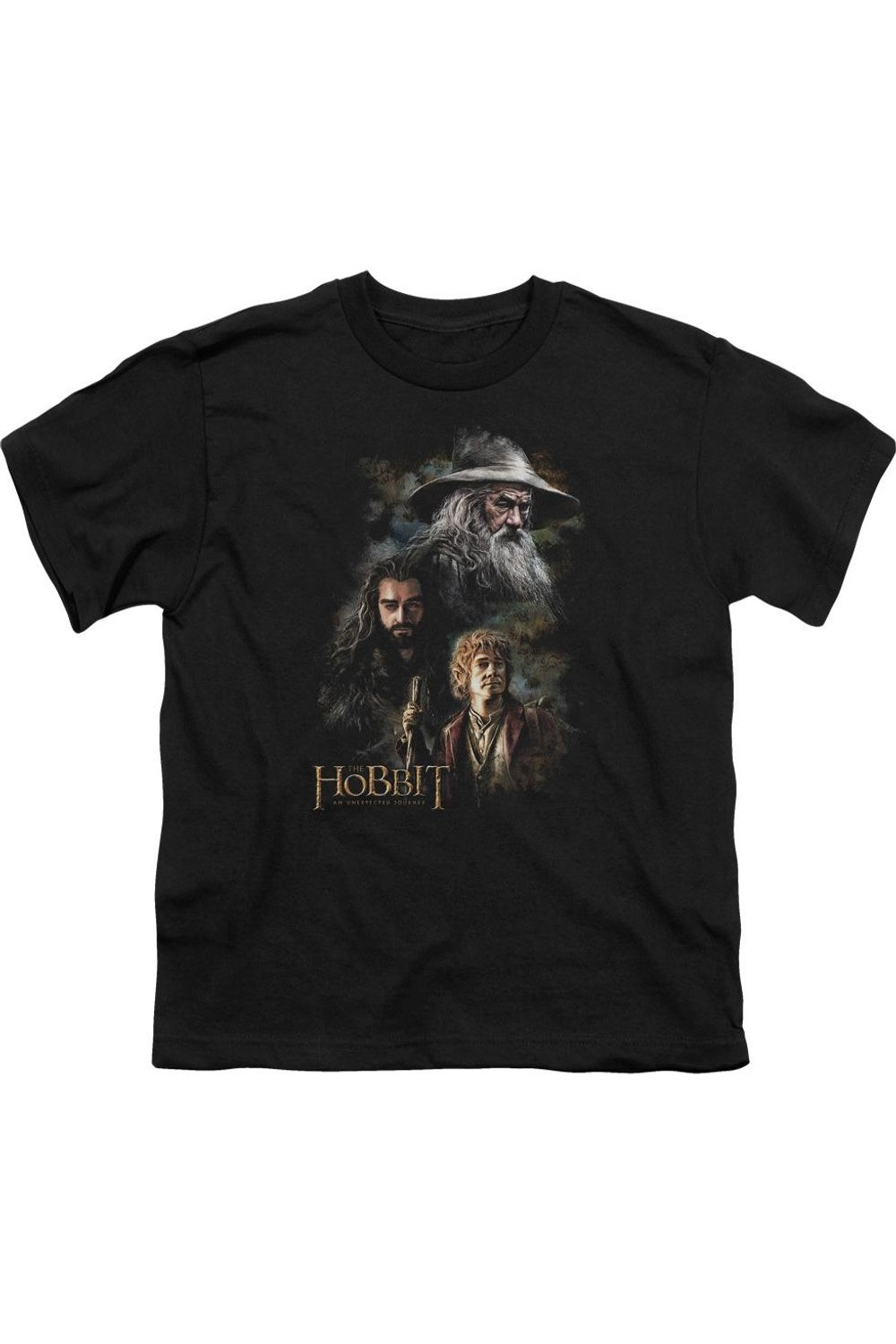 Футболка с принтом "Хоббит" детская с коротким рукавом Gildan, черный
Футболка с принтом "Хоббит" детская с коротким рукавом Gildan, черный