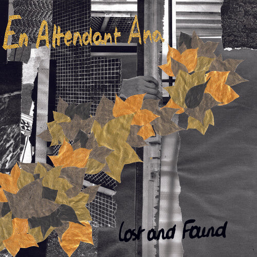 CD диск En Attendant Ana: Lost And Found 
CD диск En Attendant Ana: Lost And Found