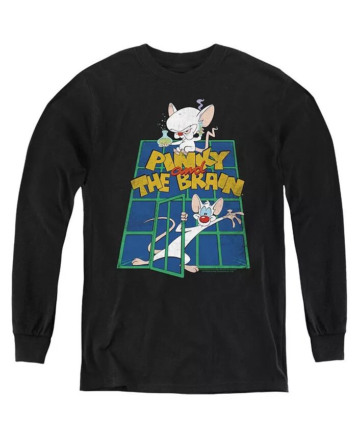 Толстовка с длинным рукавом для мальчиков, молодежная, стандартная Pinky And The Brain, черный
Толстовка с длинным рукавом для мальчиков, молодежная, стандартная Pinky And The Brain, черный