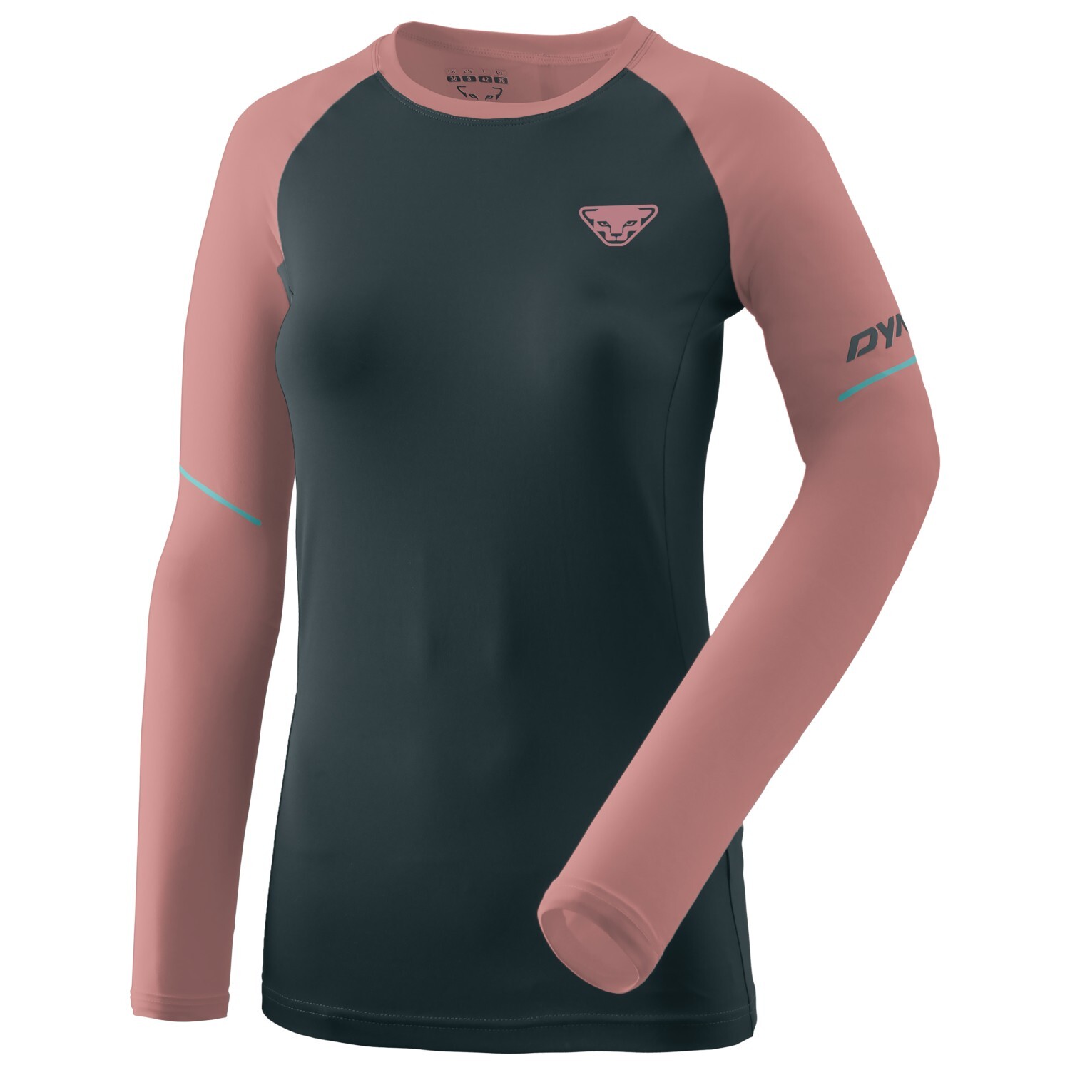 Беговая рубашка Dynafit Women's Alpine Pro L/S Tee, цвет Blueberry/Mokarosa
Беговая рубашка Dynafit Women's Alpine Pro L/S Tee, цвет Blueberry/Mokarosa