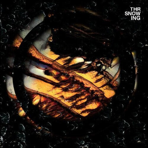 Виниловая пластинка Throwing Snow: Dragons
Виниловая пластинка Throwing Snow: Dragons