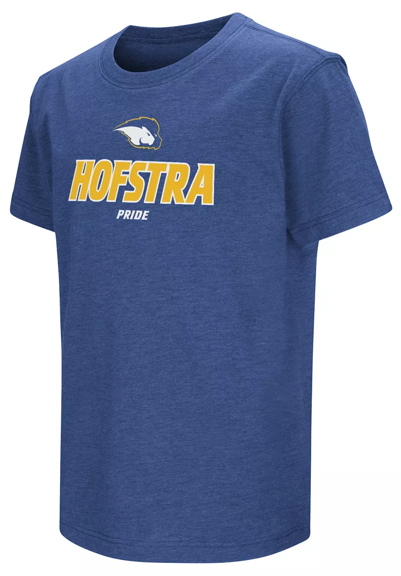 Королевская футболка Colosseum Youth Hofstra Pride
Королевская футболка Colosseum Youth Hofstra Pride