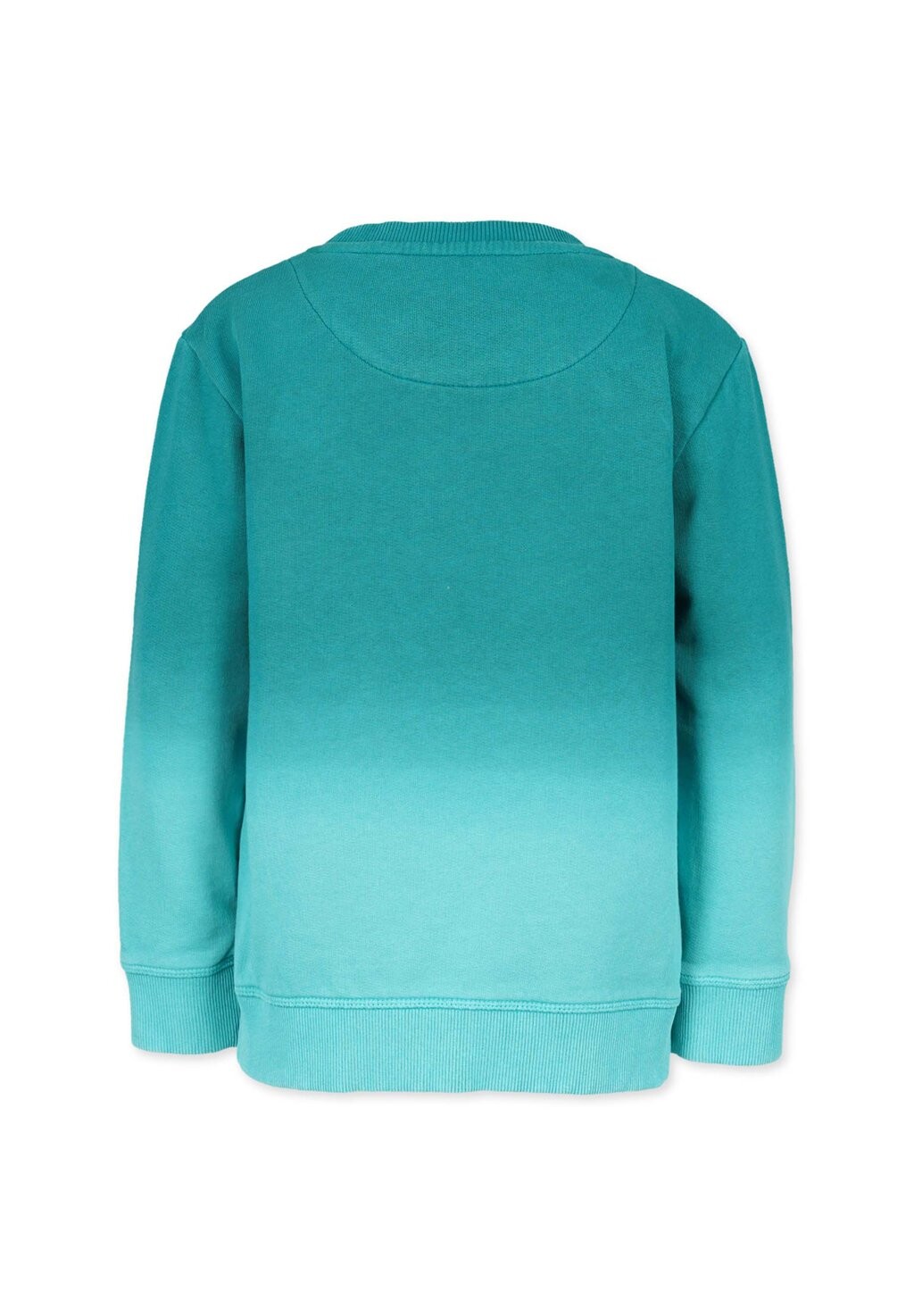 Толстовка Dip Dye Band of Rascals, бензин 
Толстовка Dip Dye Band of Rascals, бензин