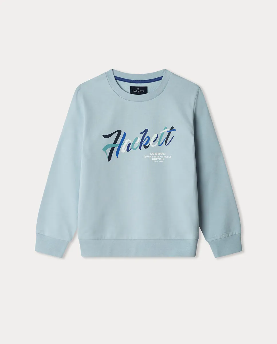 Толстовка Hackett Script Crew для мальчиков, светло-голубой
Толстовка Hackett Script Crew для мальчиков, светло-голубой