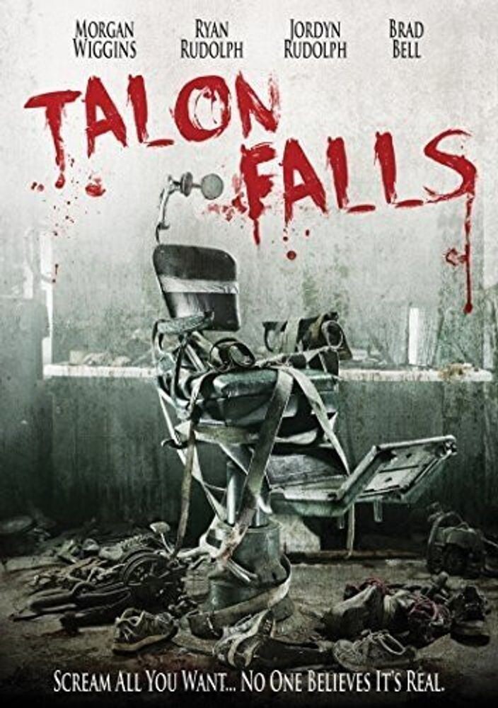 Диск DVD Talon Falls
Диск DVD Talon Falls