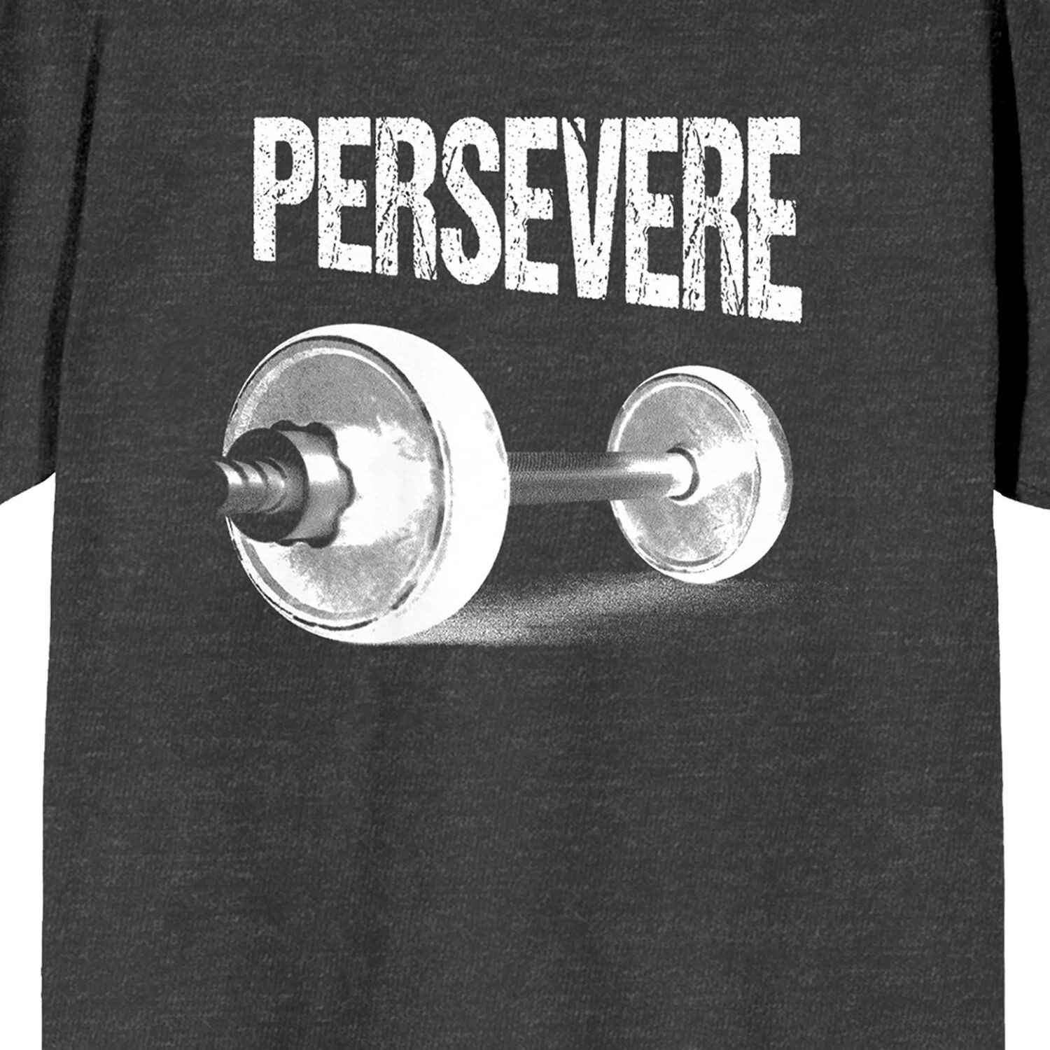 Мужская футболка Gym Culture Persevere Licensed Character
Мужская футболка Gym Culture Persevere Licensed Character