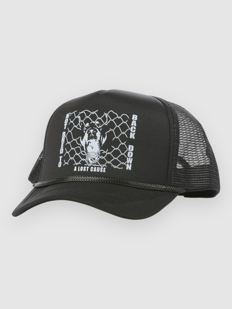 Бейсболка A Lost Cause Backdown Trucker Cap, black
Бейсболка A Lost Cause Backdown Trucker Cap, black
