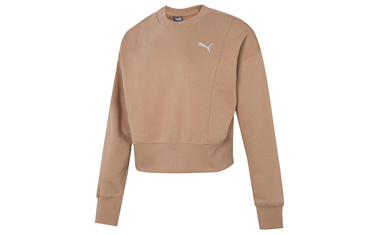 Женская толстовка Puma, цвет Brown
Женская толстовка Puma, цвет Brown