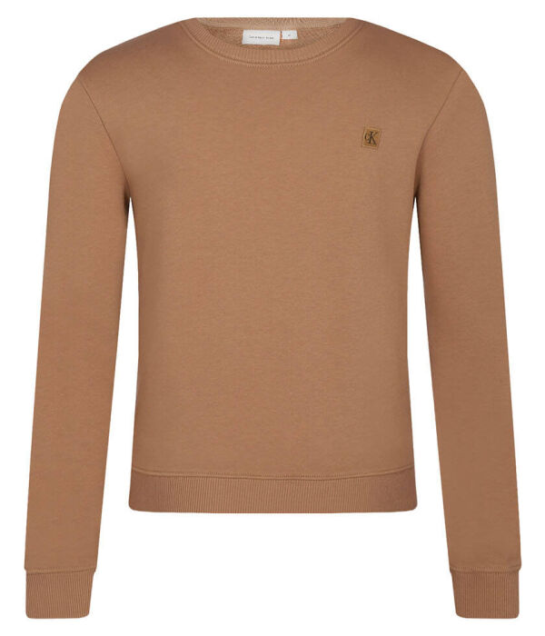 Толстовка Calvin Klein Jeans Regular Fit, коричневый
Толстовка Calvin Klein Jeans Regular Fit, коричневый