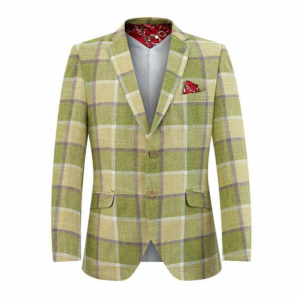 Детский блейзер slim fit в крупную клетку Elie Balleh, Green
Детский блейзер slim fit в крупную клетку Elie Balleh, Green