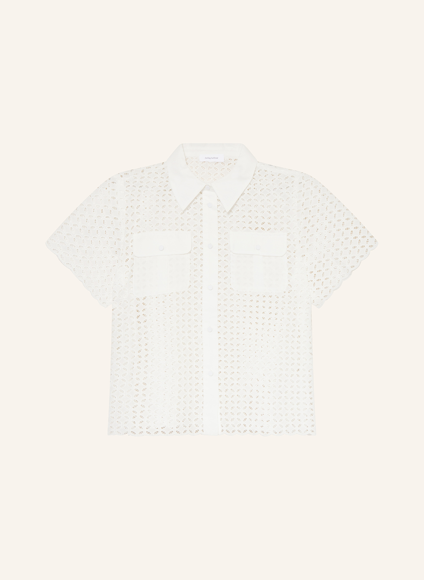 Блузка-Рубашка из ажурного кружева Darling Harbour, белый
Блузка-Рубашка из ажурного кружева Darling Harbour, белый