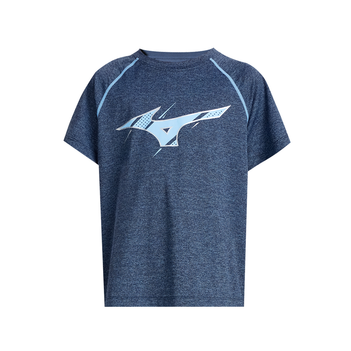 Детская футболка Mizuno, серо-голубой, Синий, Детская футболка Mizuno, серо-голубой
Детская футболка Mizuno, серо-голубой, Синий, Детская футболка Mizuno, серо-голубой