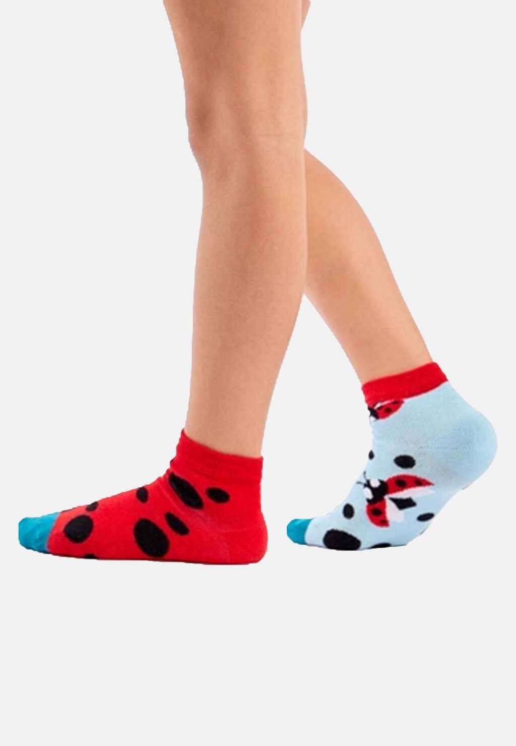 Носки 1 PAAR MIT 2 UNTERSCHIEDLICHEN DESIGNS, MOTIV: MARIENKÄFER PUNKTE Dedoles, мультиколор
Носки 1 PAAR MIT 2 UNTERSCHIEDLICHEN DESIGNS, MOTIV: MARIENKÄFER PUNKTE Dedoles, мультиколор