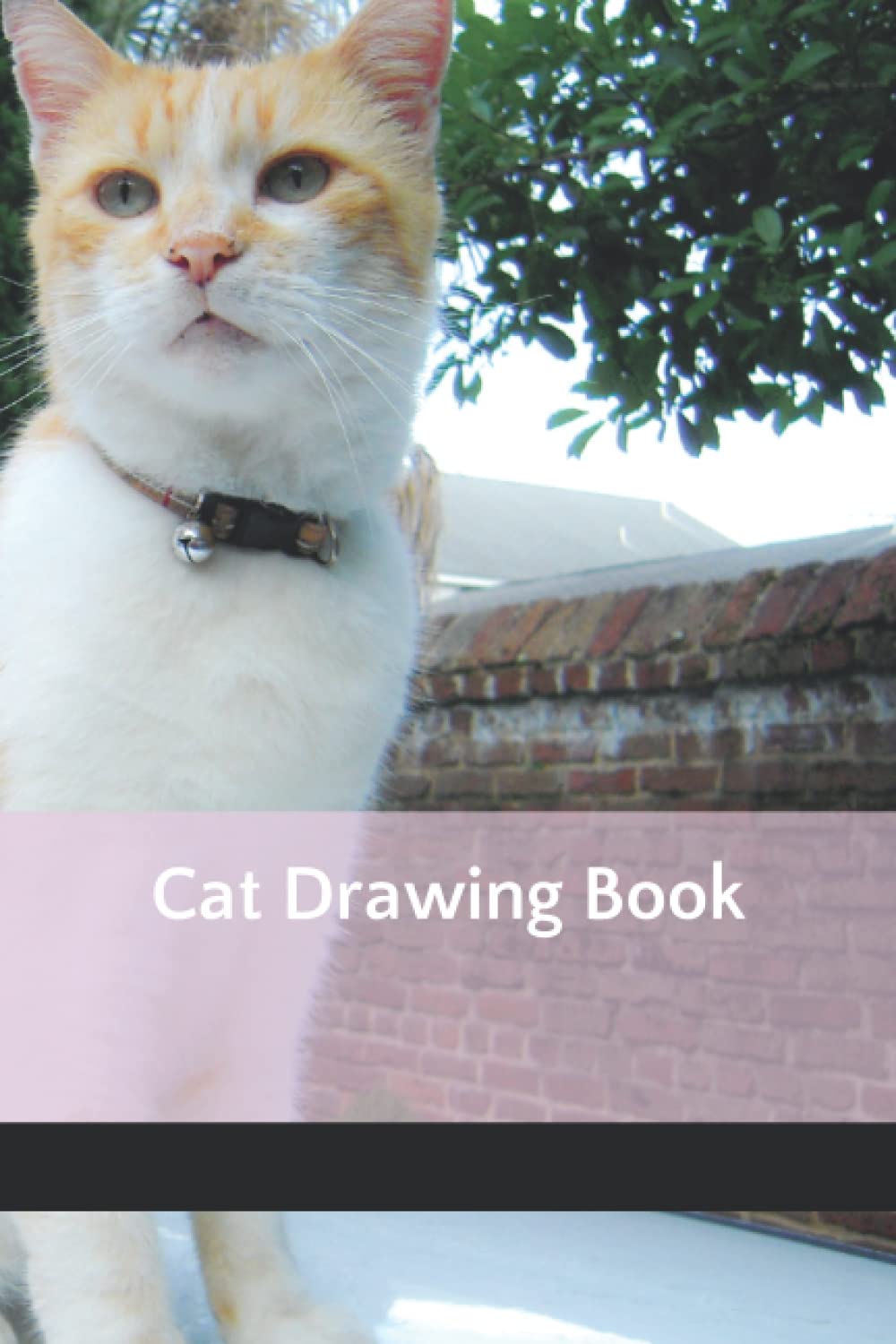 Cat Drawing Book (Independently published)
Cat Drawing Book (Independently published)