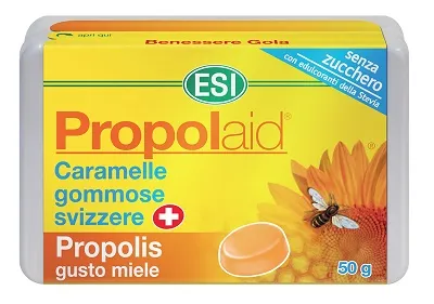 Esi Propolaid Медовые конфеты для здоровья горла 50 г со вкусом меда
Esi Propolaid Медовые конфеты для здоровья горла 50 г со вкусом меда